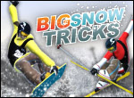 Big Snow Tricks